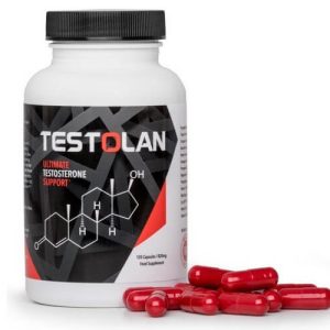 Testolan